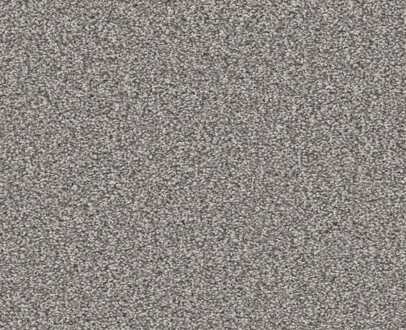 Shaw Trusolutions III 00506 Storm Cloud Carpet — Stone & Tile Shoppe, Inc.