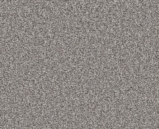 Trusolutions III Storm Cloud Polyester Carpet - Textured