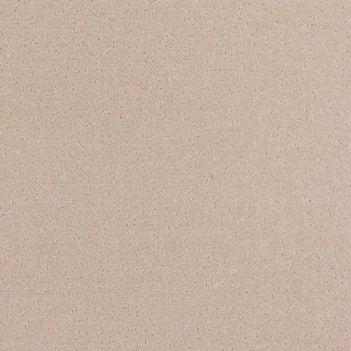 Stratford Polypropylene Morning Fog Carpet Pattern 1
