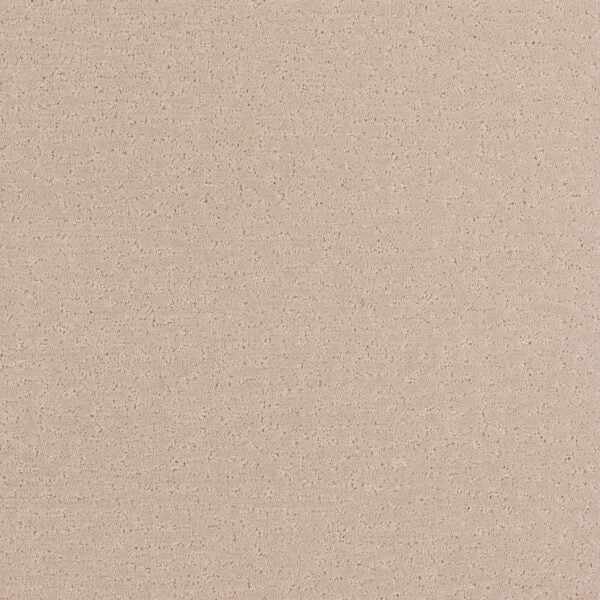 Stratford Polypropylene Morning Fog Carpet Pattern 1