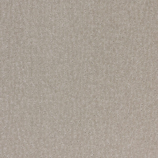 Stratford Polypropylene Hammered Tin Carpet Pattern 1