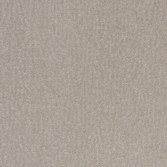 Stratford Polypropylene Hammered Tin Carpet Pattern 2