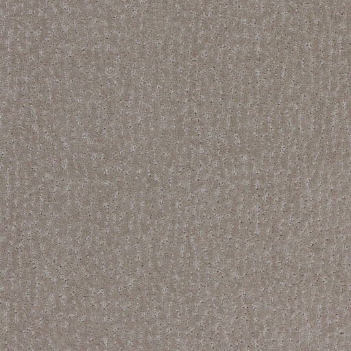 Stratford Polypropylene Pewter Carpet Pattern 1