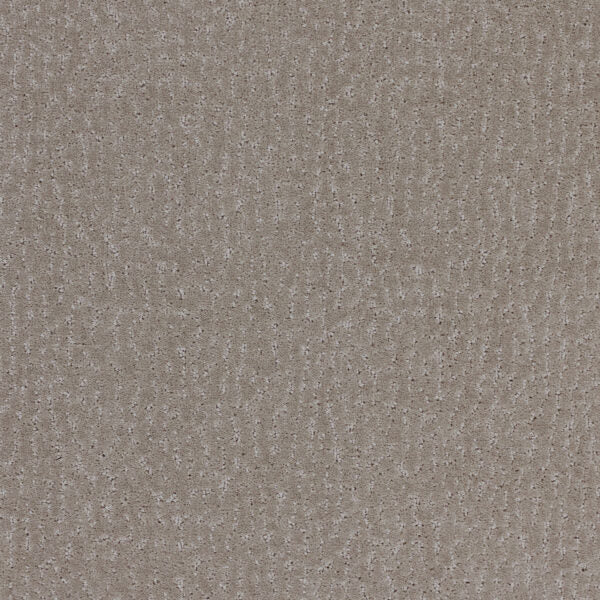 Stratford Polypropylene Pewter Carpet Pattern 1