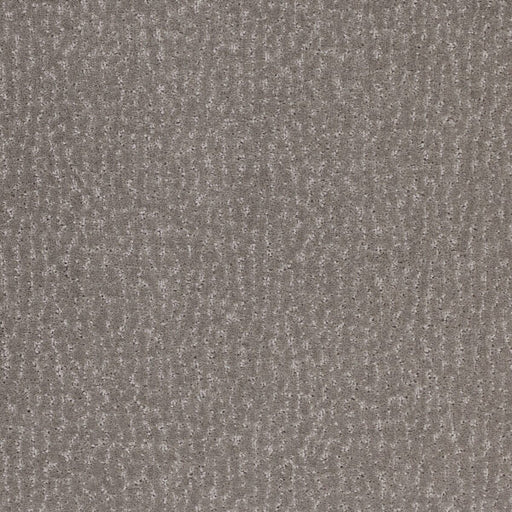 Stratford Polypropylene Slate Carpet Pattern 1