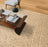 Suffolk Wool Caramel 11911 Carpet Pattern 2