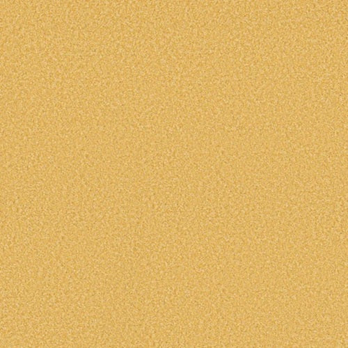 The Bright Side Sunny Side Up Polyester Carpet - Textured