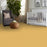 The Bright Side Sunny Side Up Polyester Carpet - Textured