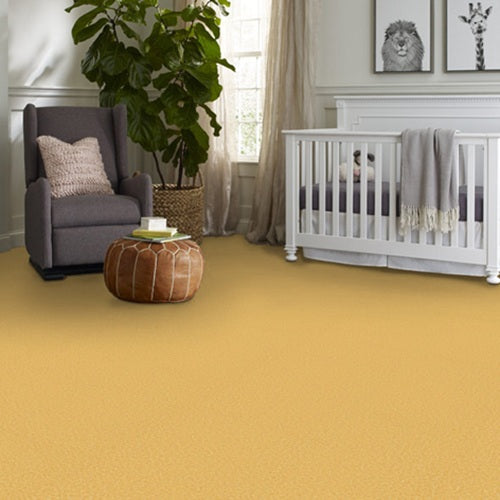The Bright Side Sunny Side Up Polyester Carpet - Textured