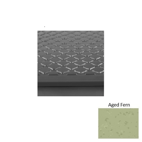 Aged Fern S663