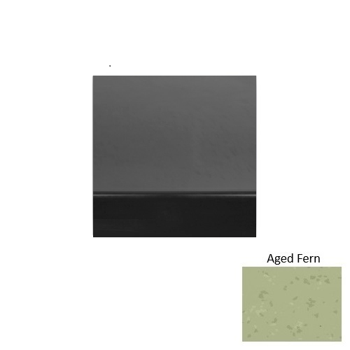 Aged Fern S663