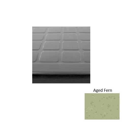 Aged Fern S663