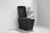 T2005MB Luxury Smart Toilet Black Tankless 1.28 GPF Rectangle Toilet - 12" (Seat Included)