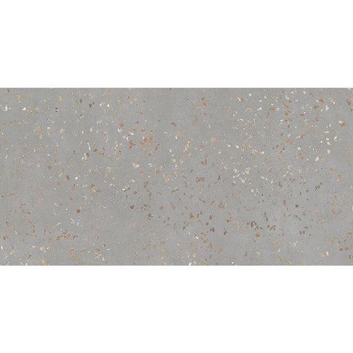 Terra Ceppo Porcelain Tile - Polished