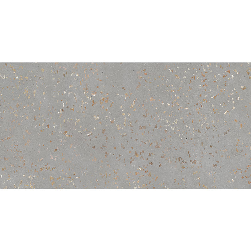 Terra Ceppo Porcelain Tile - Polished