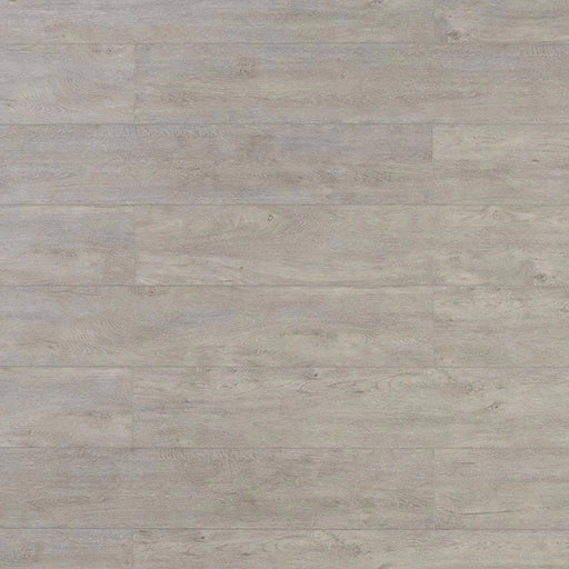 TFSPC 4 Series Vinyl Hedgehog Vinyl Plank Embossed 1