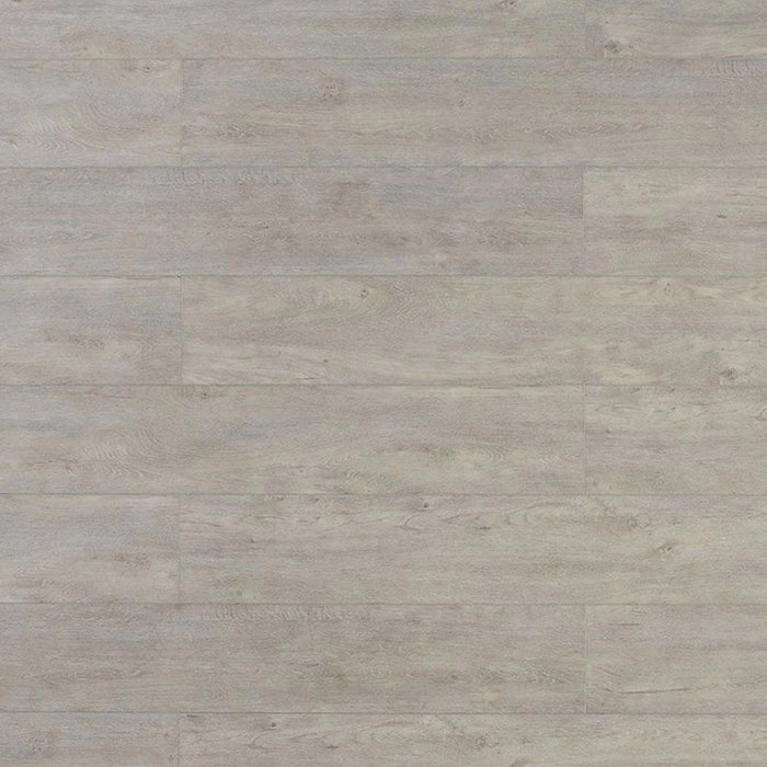 TFSPC 4 Series Vinyl Hedgehog Vinyl Plank Embossed 1