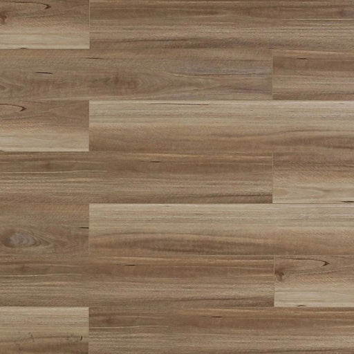 TFSPC 4 Series Vinyl Biscotti Vinyl Plank Embossed 1
