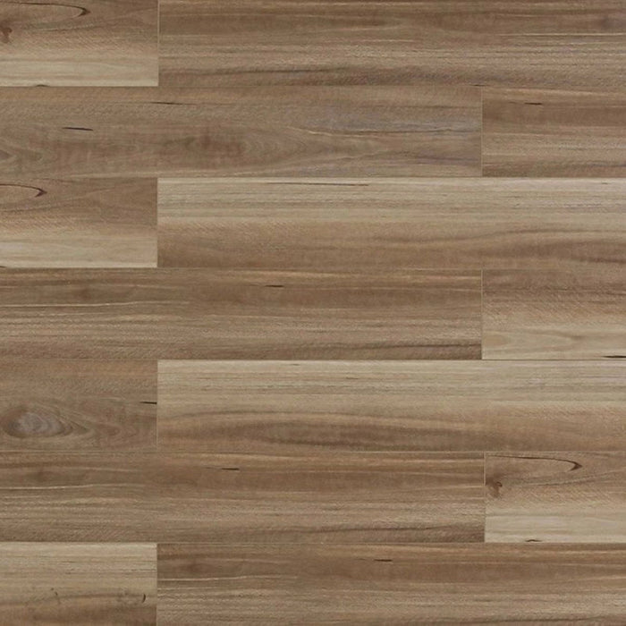 TFSPC 4 Series Vinyl Biscotti Vinyl Plank Embossed 1