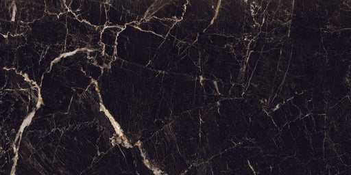 Titanium Porcelain Gold Tile Gloss 1