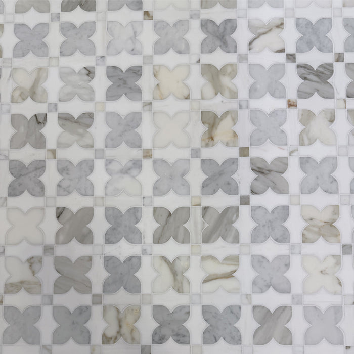 Montepulciano Dolomite Mosaic Polished 2