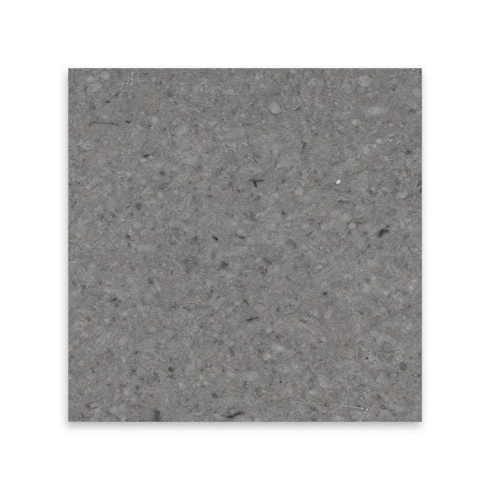 Full Tile Sample - Tao Gray Marble Tile - 3" x 6" x 3/8" Polished