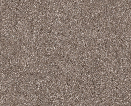 Trusolutions III Taupe Dream Polyester Carpet - Textured