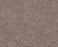 Trusolutions III Taupe Dream Polyester Carpet - Textured