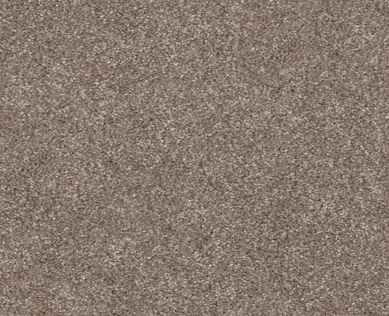 Trusolutions III Taupe Dream Polyester Carpet - Textured
