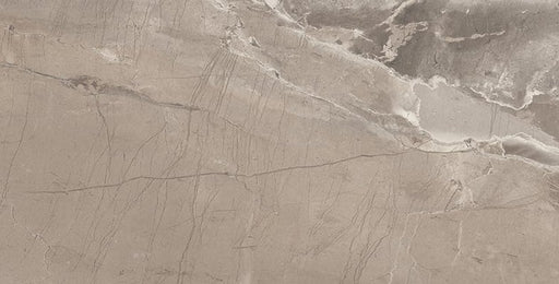 Absolute Taupe Porcelain Tile - Matte