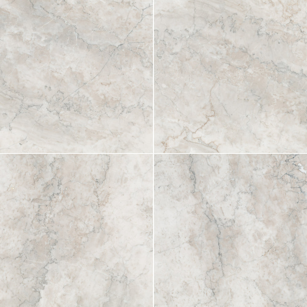 Full Tile Sample - Temple Grey Marble Tile - 12" x 12" x 3/8" Polished