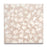 Full Tile Sample - Terrazzo Gemini Cement Tile - 24" x 24" x 5/8" Matte