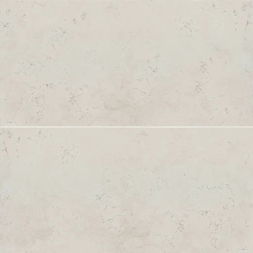 Thaddeus White Porcelain Tile - Matte