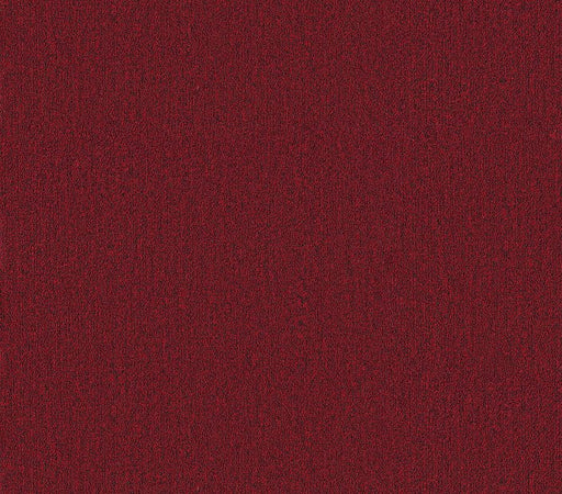 Profusion 26 Thrive Polyester Carpet - Textured