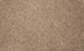 Throne Polyester Khaki 23035 Carpet Textured 1