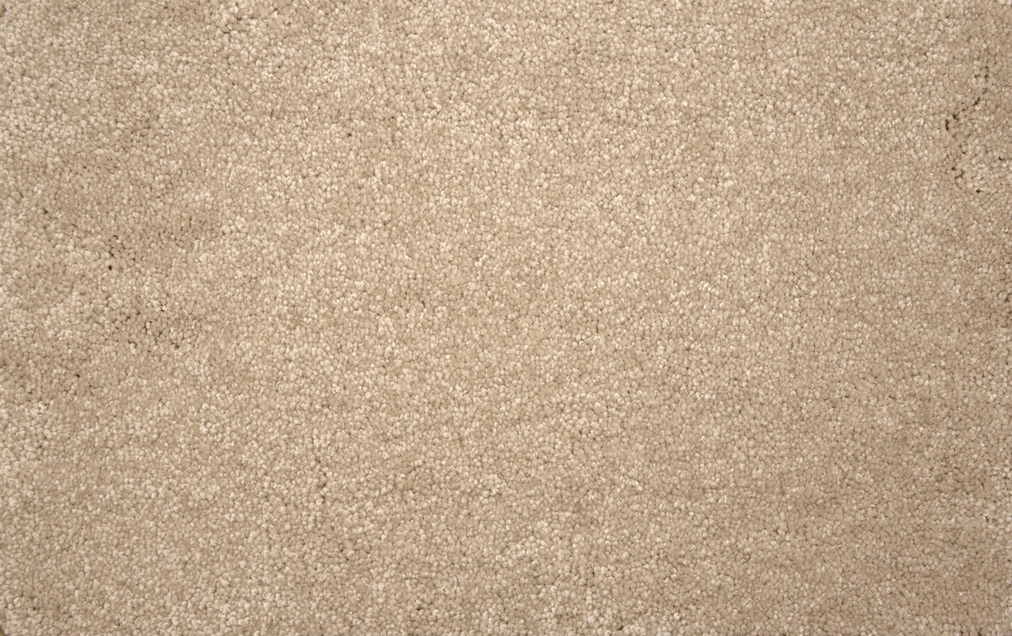 Throne Polyester Sand Dollar 23032 Carpet Textured 1