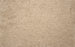 Throne Polyester Sand Dollar 23032 Carpet Textured 1