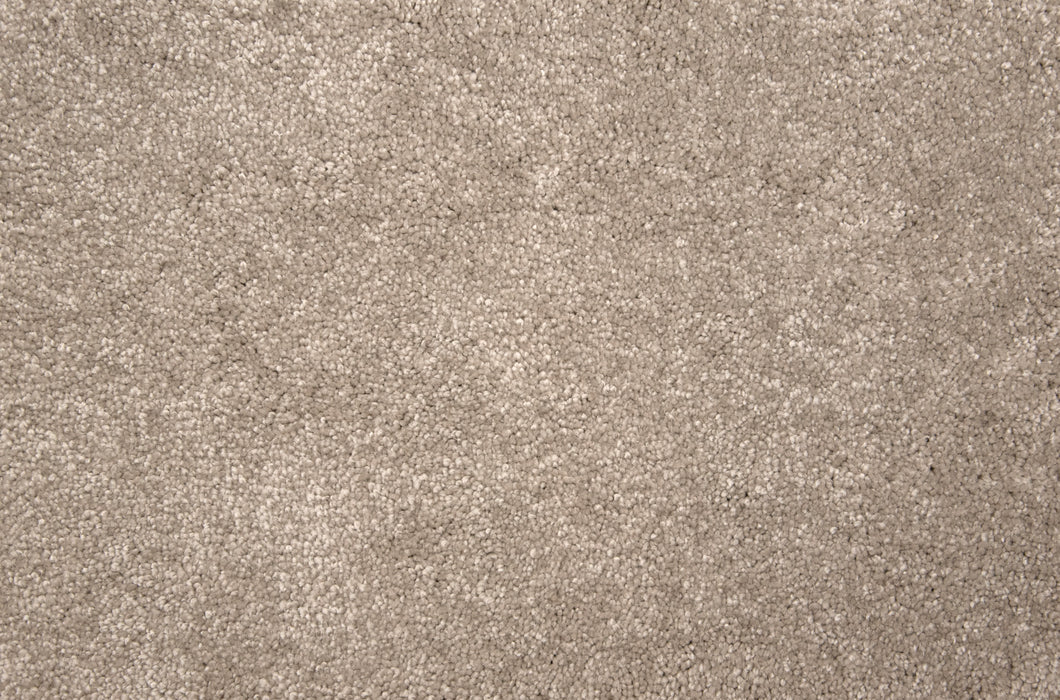 Throne Polyester Silvermine 23033 Carpet Textured 1