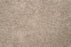Throne Polyester Silvermine 23033 Carpet Textured 1