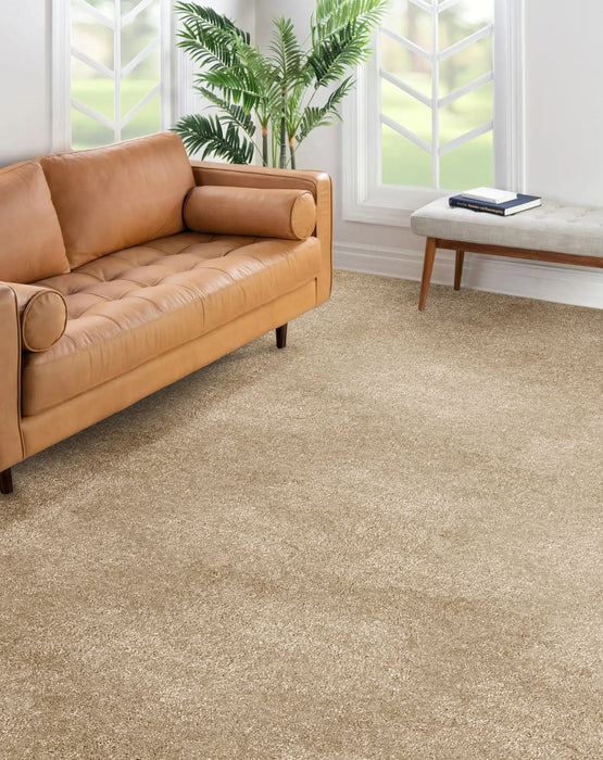 Throne Polyester Sand Dollar 23032 Carpet Textured 2