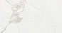 Full Tile Sample - Timeless Calacatta Porcelain Tile - 24" x 48" x 3/8" Honed