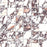 Full Sheet Sample - Touche Rubis Porcelain Mosaic - 12" x 12" x 9 MM Matte