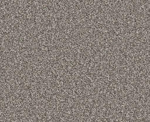 Trusolutions III Tree Bark Polyester Carpet - Textured