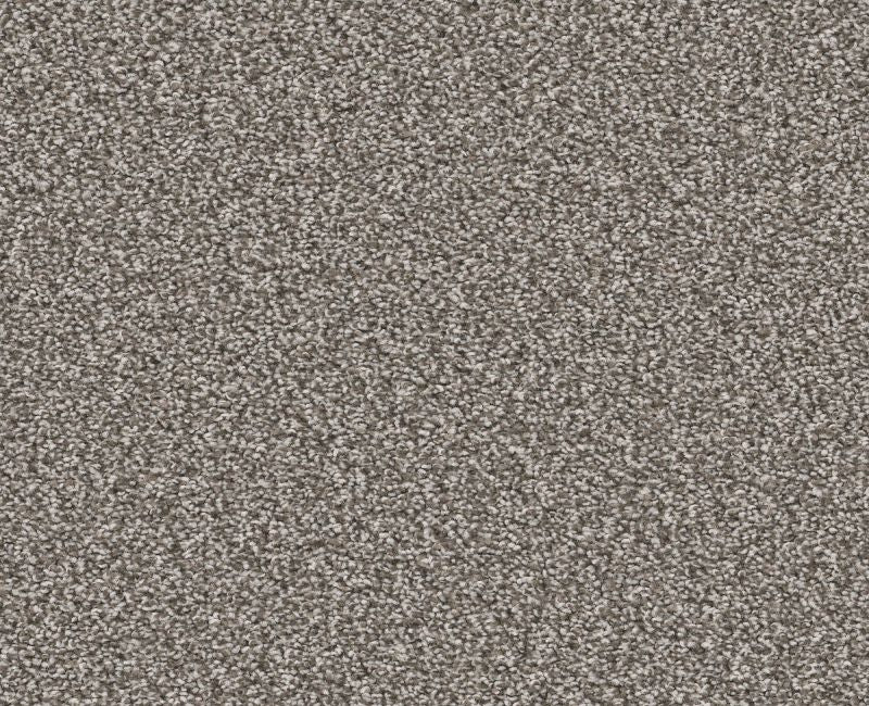 Trusolutions III Tree Bark Polyester Carpet - Textured