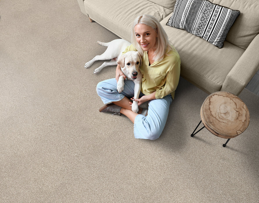 Tristan Plush I Polyester Driftwood 39261 Carpet Textured 2