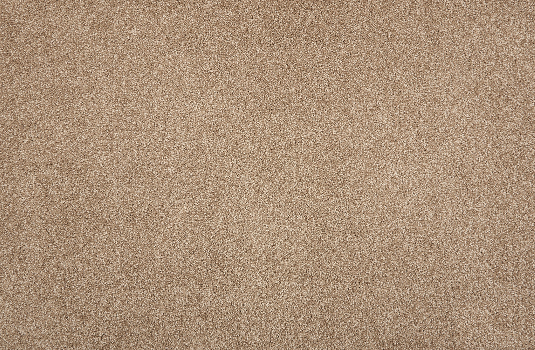 Tristan Plush 2 Polyester Cedar 39287 Carpet Textured 1