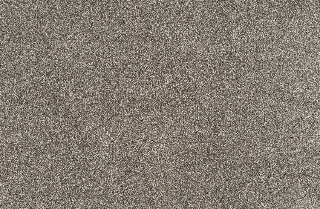 Tristan Plush I Polyester Fossil 39267 Carpet Textured 1