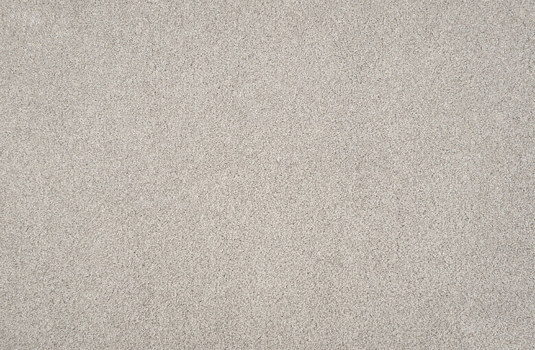 Tristan Plush I Polyester Grey Dove 39263 Carpet Textured 1