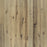 Maple Hardwood Orris Engineered Hardwood Nu Oil Super Matte 1