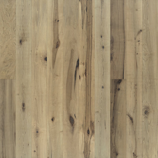 Maple Hardwood Orris Engineered Hardwood Nu Oil Super Matte 1